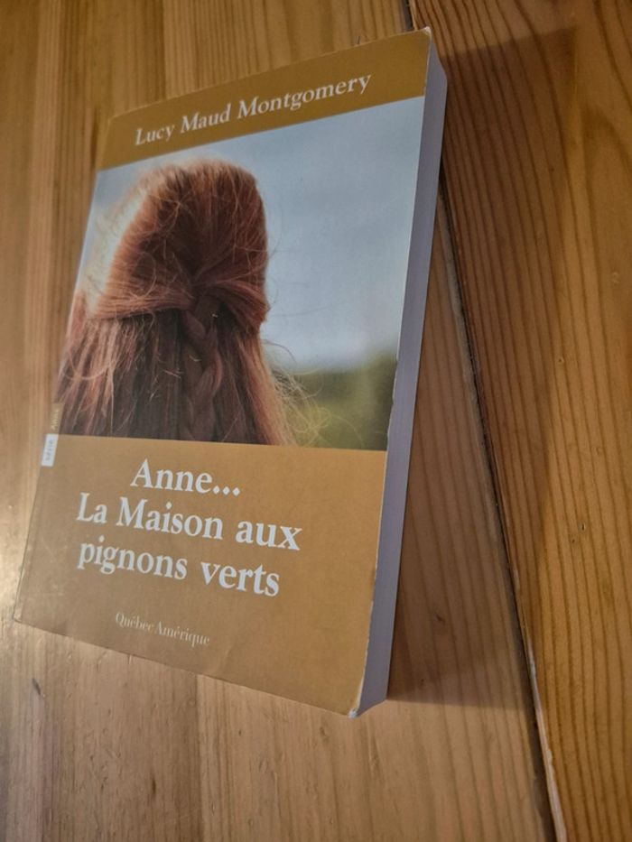 Roman "Anne la Maison aux pignons verts" - photo numéro 2