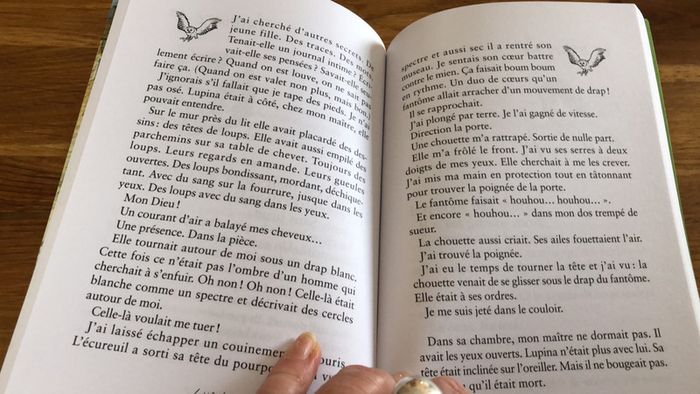 Livre Neuf Donjon Maudit - yves hughes - photo numéro 3