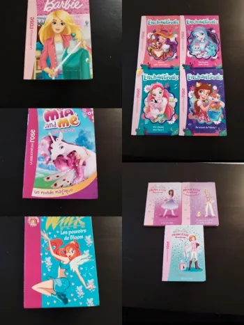 Lots 10 livres bibliothèque rose