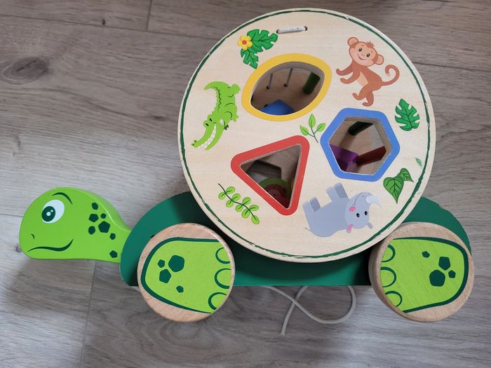 Tortue à tirer - photo numéro 8