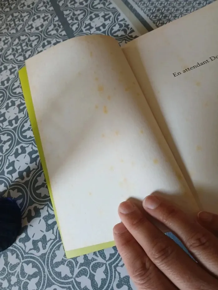 Roman - En attendant Doggo - photo numéro 7