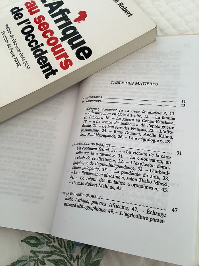 Négrologie, pourquoi l’Afrique meurt, par Stephen Smith - photo numéro 10