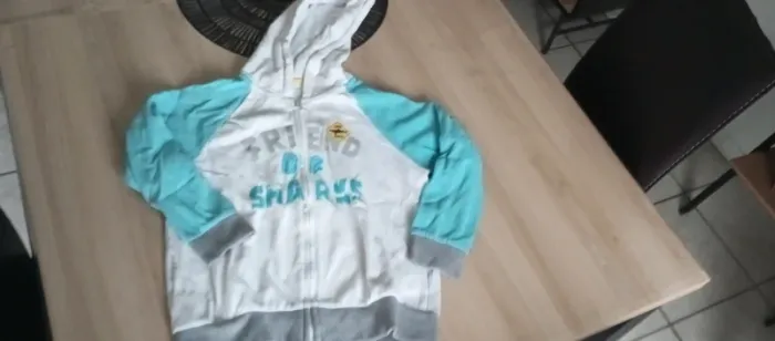 Veste zippée à capuche - photo numéro 2