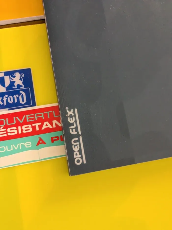 1 (ou +) Cahier open flex couverture résistante 96 pages grands carreaux - photo numéro 2