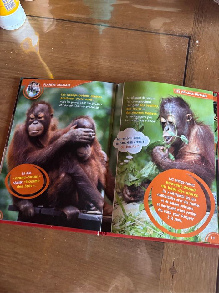 Livre Disney - photo numéro 4