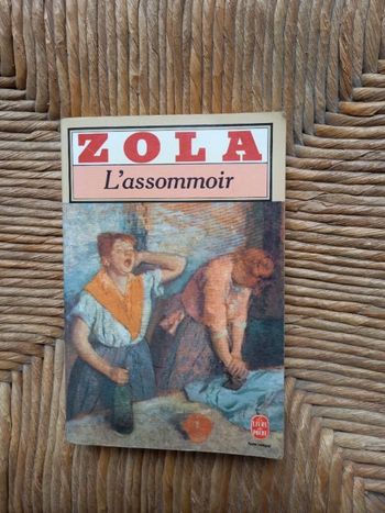 L'assommoir de Émile Zola
