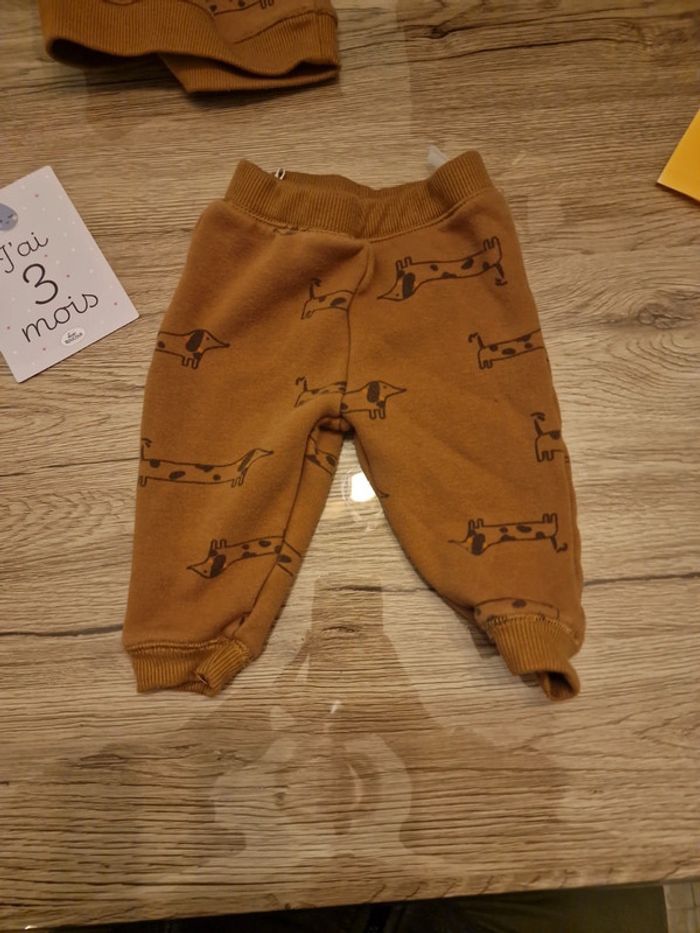 Ensemble - photo numéro 2