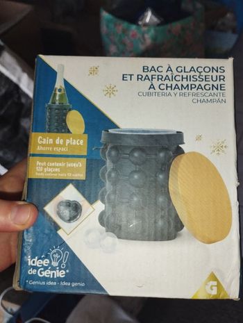 Bac à glaçons et rafraîchissant