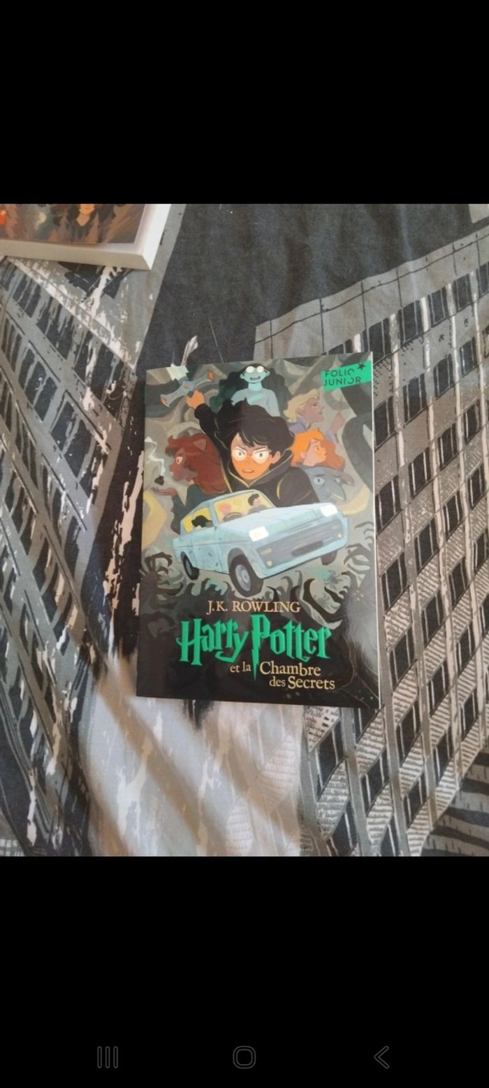 Livre harry potter - photo numéro 2