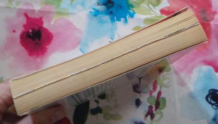 Le silence du mal de Erica Spindler Harlequin Best Sellers n°200 - photo numéro 4