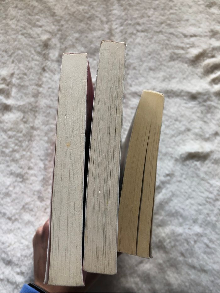 Lot 3 tomes saga Beautiful - Christina Lauren - photo numéro 8