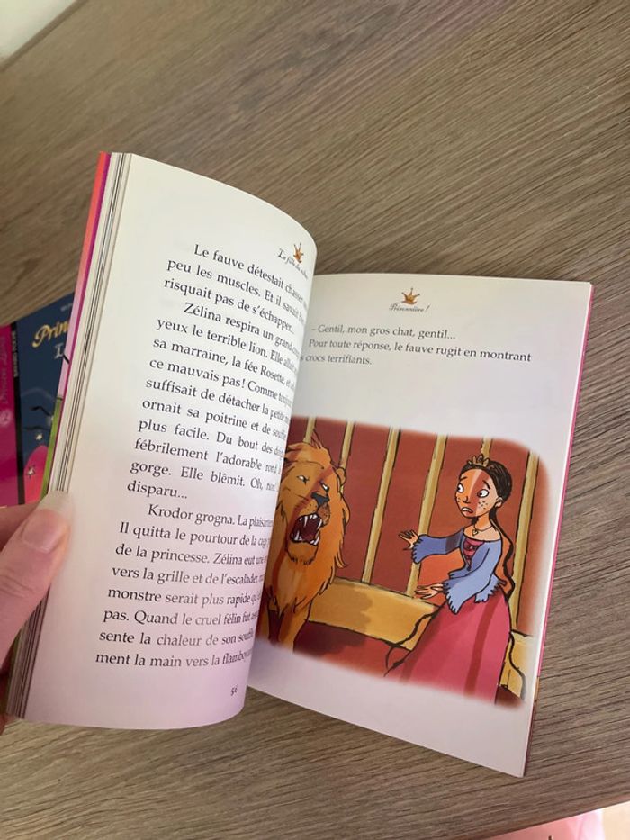 Lot de 3 livres princesse zelina - photo numéro 5