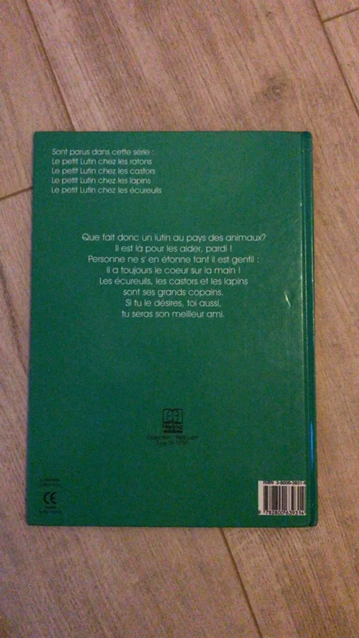 Livre le petit lutin chez les ratons - photo numéro 2
