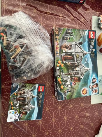 Lego - Harry Potter 75947