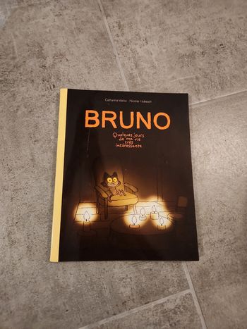 Livre : Bruno