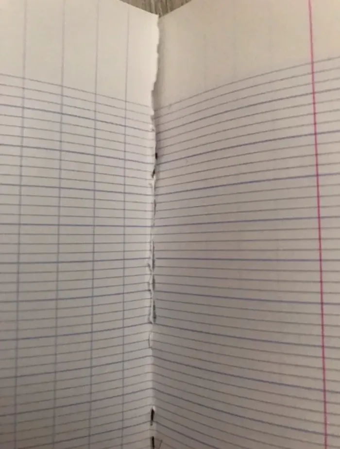 vintage cahier musique chant format  feuilles Séyès (grands carreaux) et feuilles musique - photo numéro 4