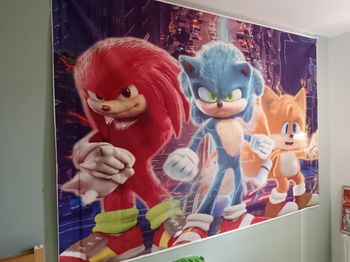Toile murale Sonic