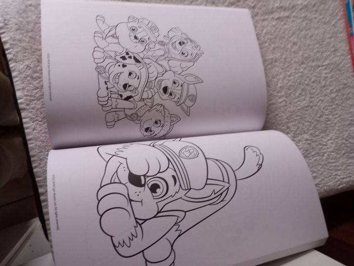 Livre coloriage PAW Patrol - photo numéro 3