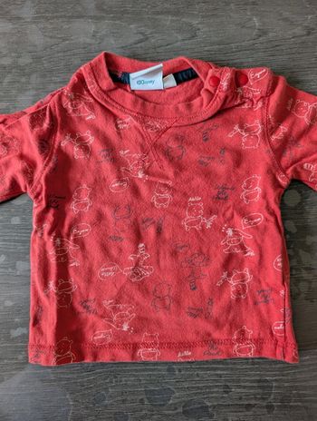 T-shirt manches longues Winnie Tigrou Bourriquet