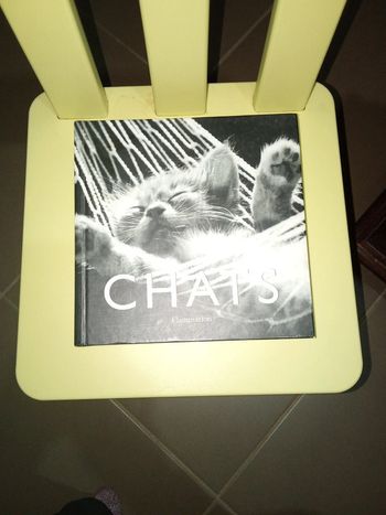 Livre sur les chats