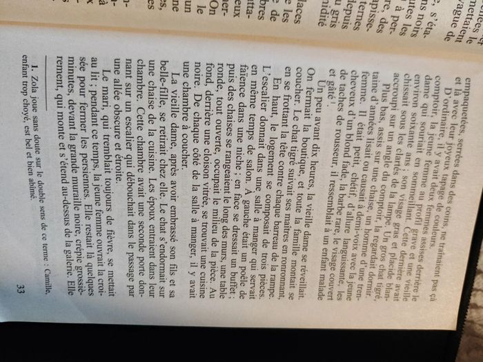 Thérèse Raquin Zola - photo numéro 3