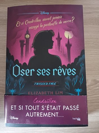 Livre disney oser ses reves 