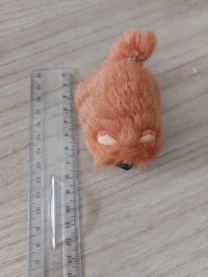 Mini bébé Chow Chow - pound Puppies - photo numéro 7
