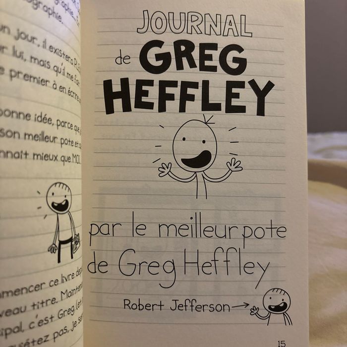 Journal d’un copain formidable - photo numéro 3