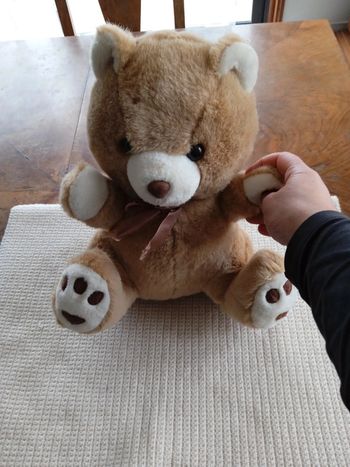 Peluche Ours 🐻