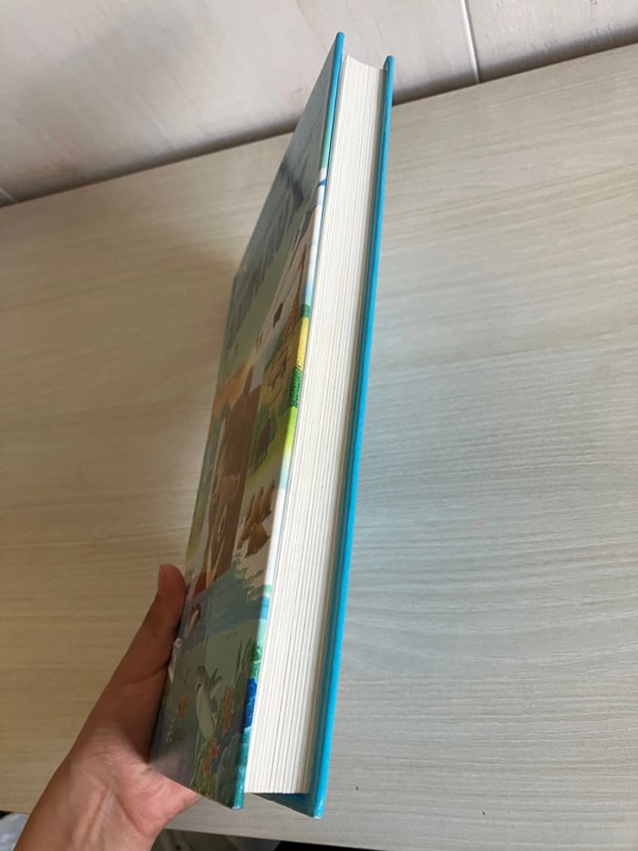 Livre enfant "Le monde étonnant des animaux – 300 questions/réponses - photo numéro 2