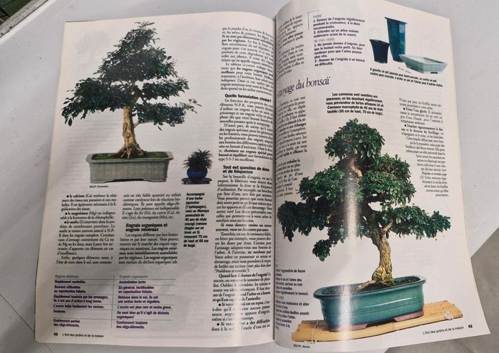 Magazine "Mon premier bonsaï " - photo numéro 7