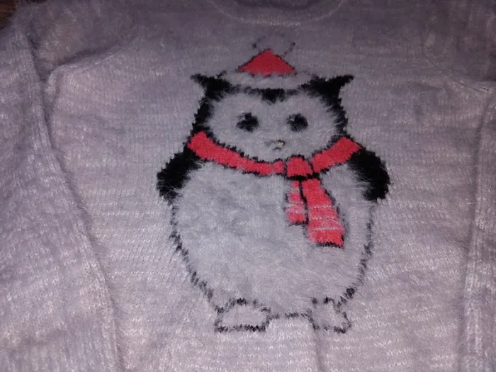 Pull Camaïeu - photo numéro 2