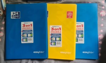 Lot de 3 cahiers easy book 24x32cm 96 pages grands carreaux NEUFS
