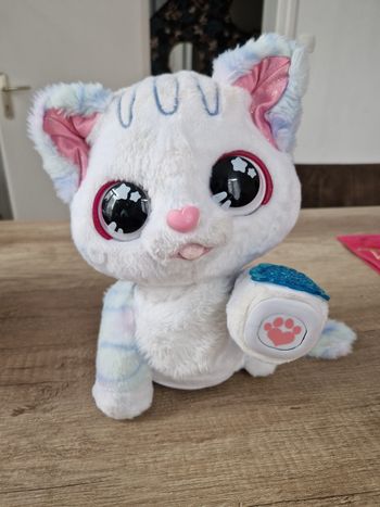 Ruby le chat