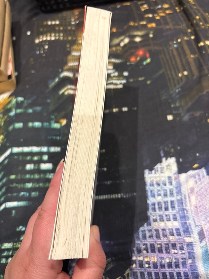 Livre lady love - photo numéro 2