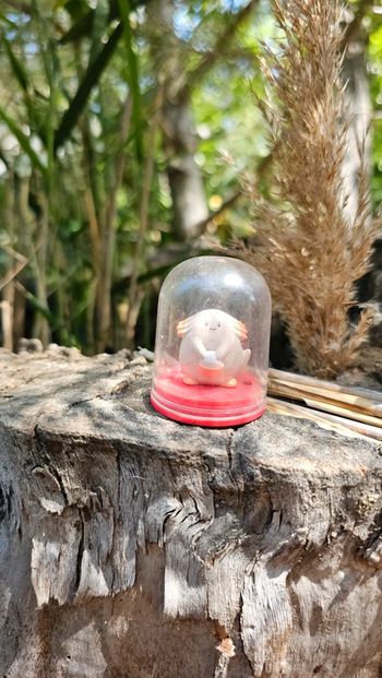 Super petite figurine Pokemon Nintendo leveinard