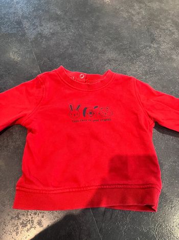 Pull petit lapin 9 mois