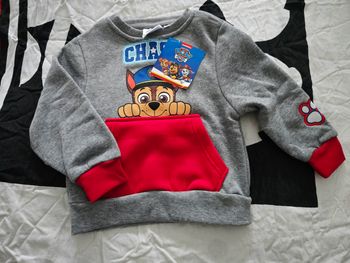Pull pat patrouille 3ans