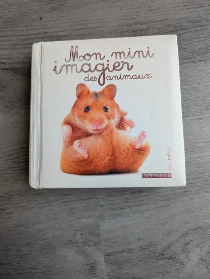 Mammifères