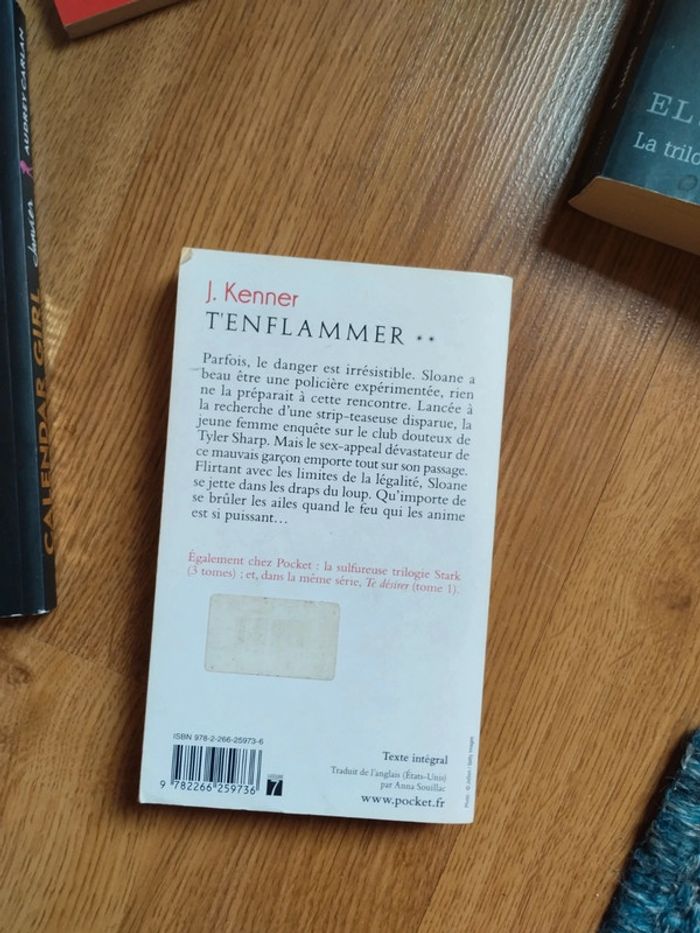 Lot de livres romance - photo numéro 16