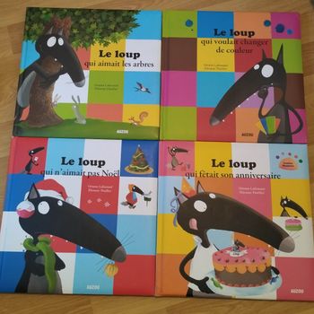 Lot 4 livres enfant Auzou Petit Loup mes grands albums