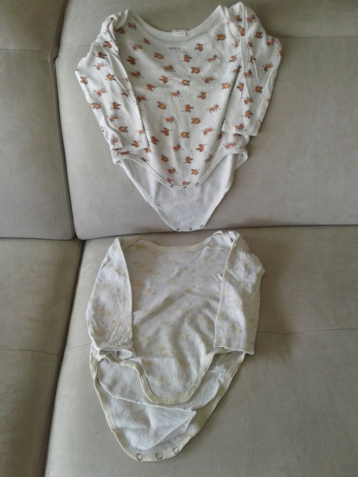 Bodies 2 ans
