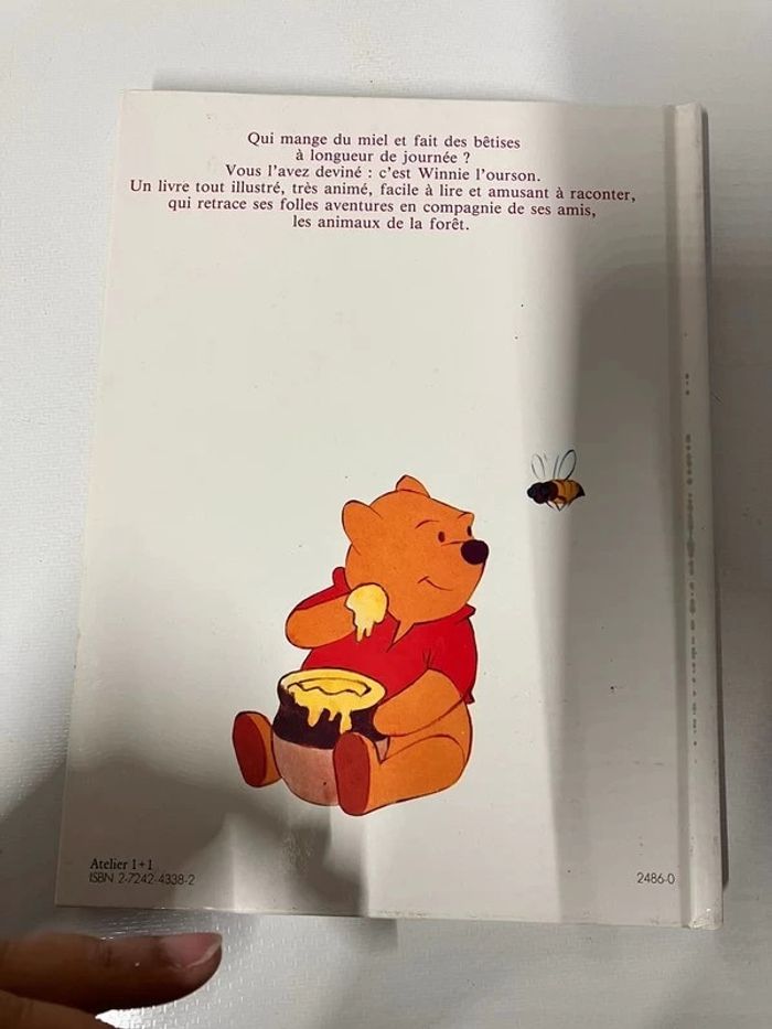 Livre winnie - photo numéro 2