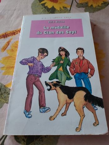 Livre enfants bibliothèque rose La médaille des clan des sept