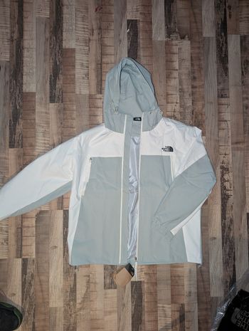 Veste the north face