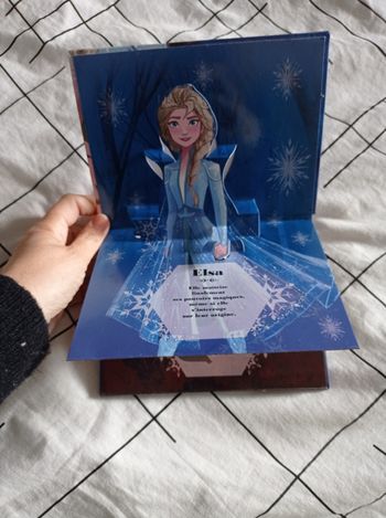 Livre reine des neiges