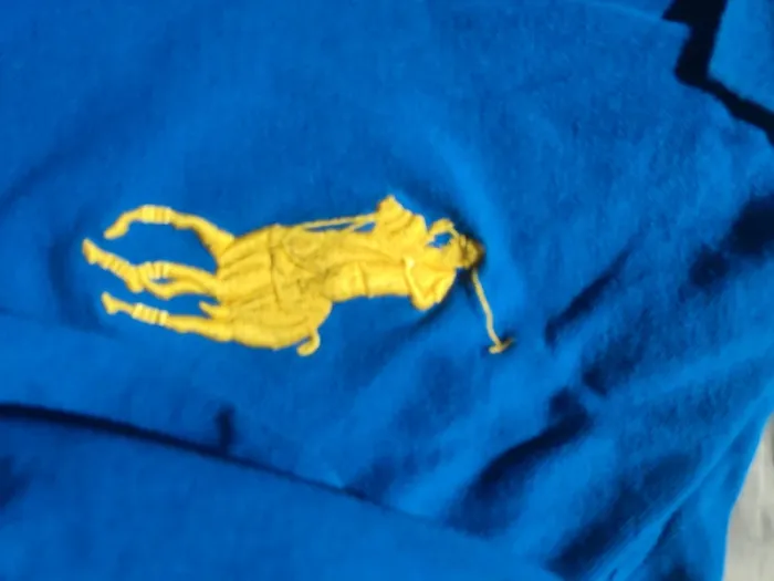 Polo Ralph Lauren bleu a manche longue - photo numéro 5