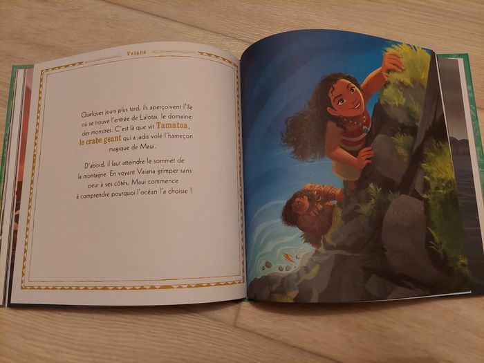 Livre Vaiana - photo numéro 5