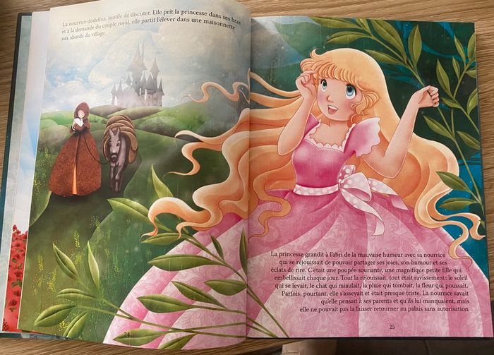 Livre princesses - photo numéro 2