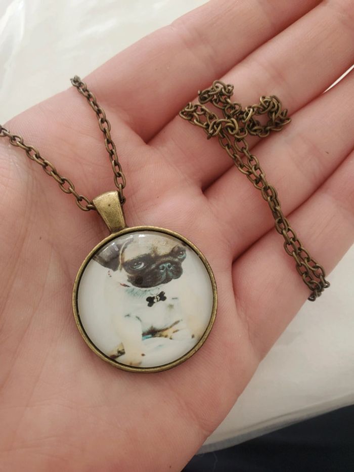 Collier chien carlin